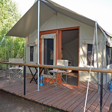 The Wild Olive Tree Camp Hotel Welverdiend  Phòng bức ảnh
