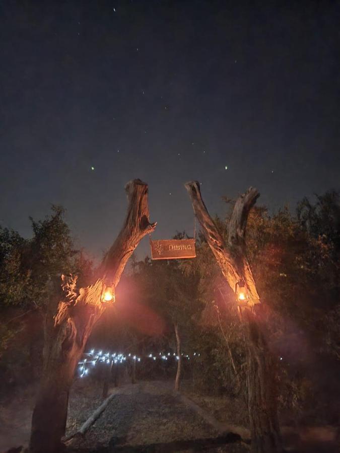 The Wild Olive Tree Camp Hotel Welverdiend  Ngoại thất bức ảnh