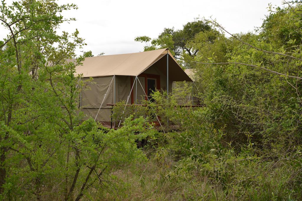 The Wild Olive Tree Camp Hotel Welverdiend  Ngoại thất bức ảnh